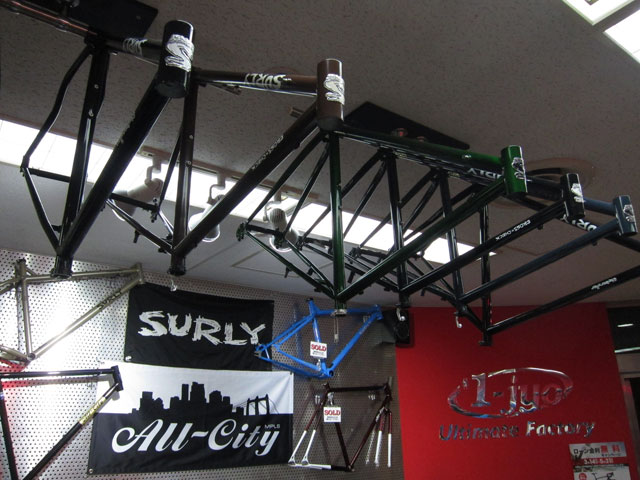 SURLY-Frame.jpg