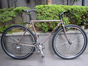 surly04.jpg