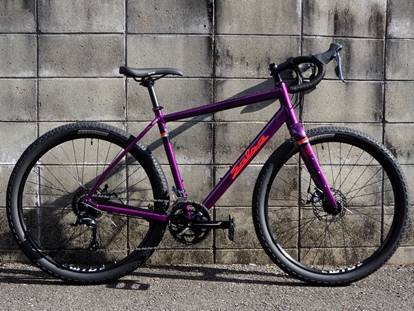 salsa journeyman sora 650
