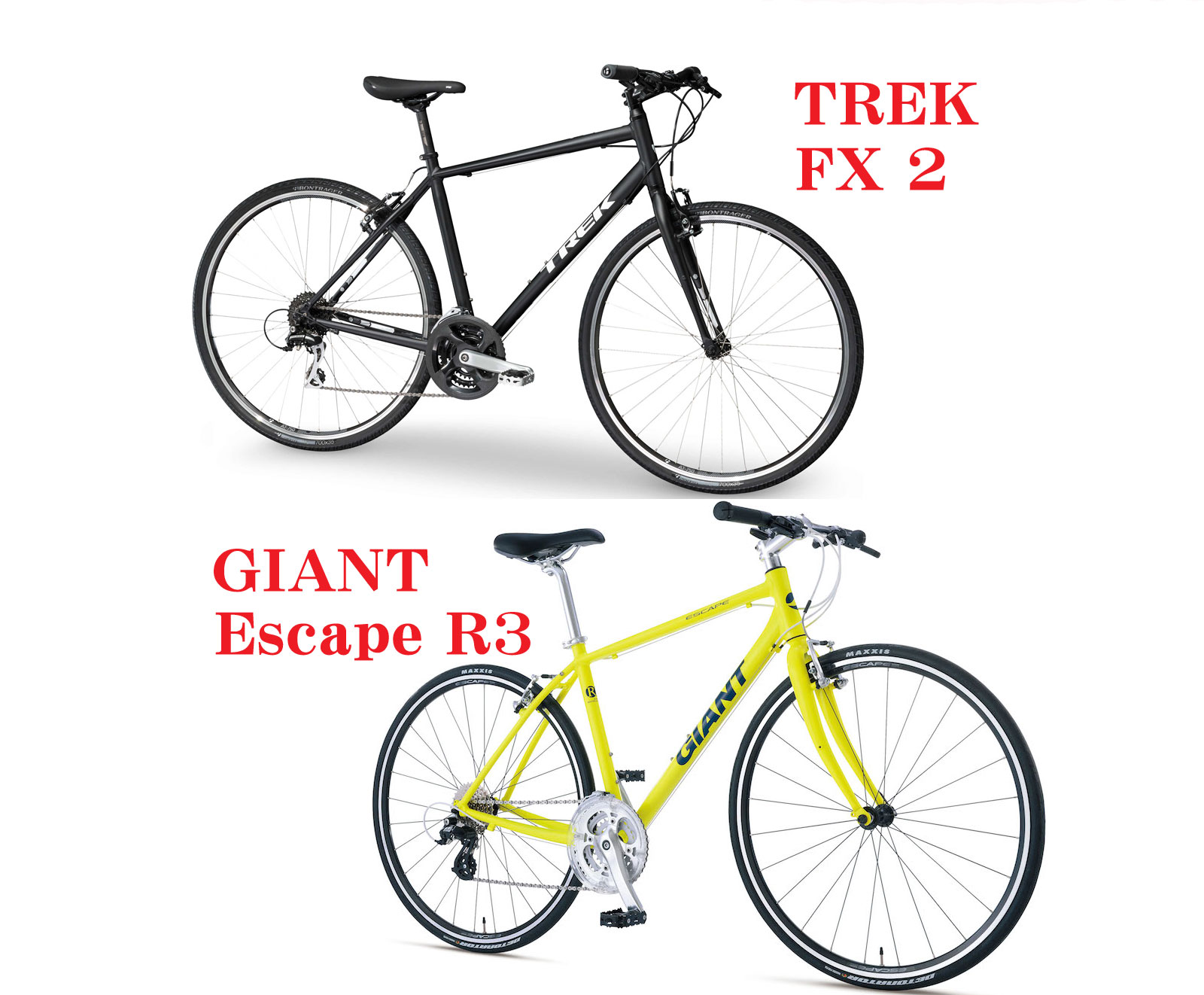 trekgiant | 一条 大阪