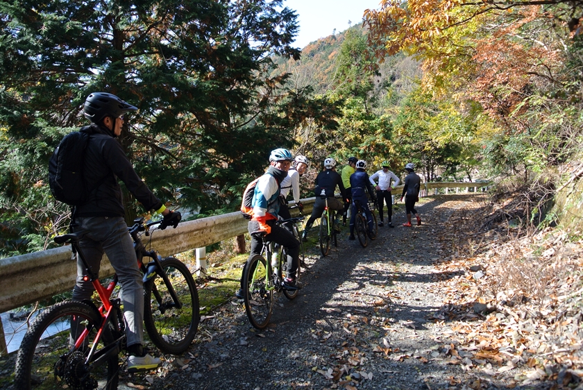 京都の紅葉シーズンにグラベルライドへ行ってきました！