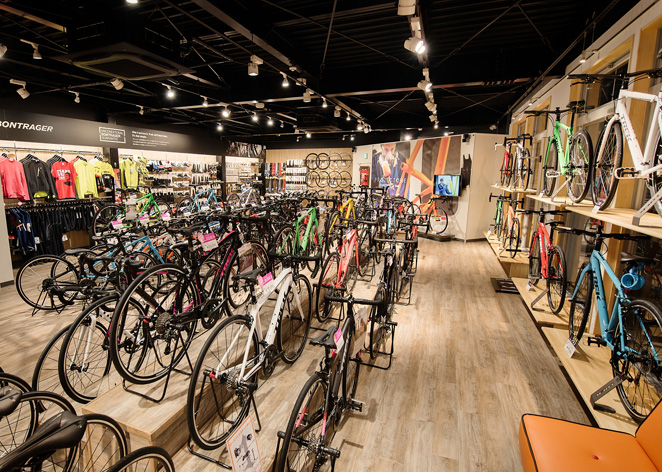 【京都西店】2022・23年 TREK BIKE（トレック バイク）10・11月入荷予定情報