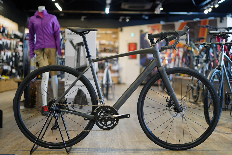 2024 TREK DOMANE AL2 Matte Lithum Grey