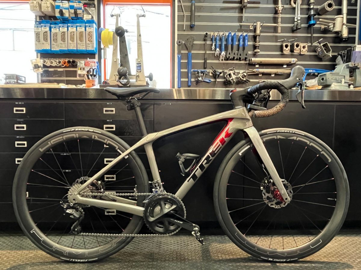 TREK DOMANE SL5　2023